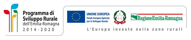 logo_regione_ER